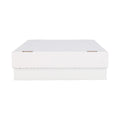 BCW Monster Card Storage Box